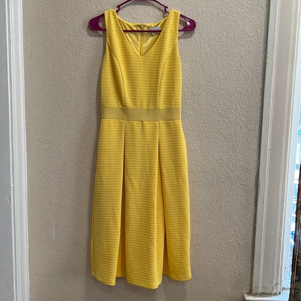 New York and Company Woman’s Yellow Dress, Stretch, Size XS